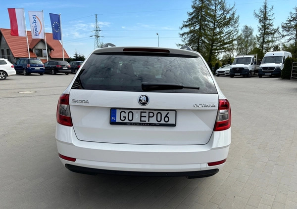 Skoda Octavia cena 44895 przebieg: 235403, rok produkcji 2017 z Żukowo małe 79